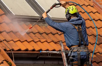 Démoussage et hydrofuge de toiture à Marsais